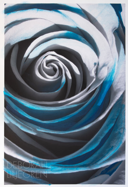 "The Blue Rose" by Deborah Liljegren Hand-colored photograph